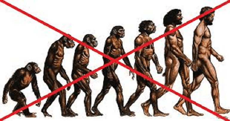 Teorie evoluce